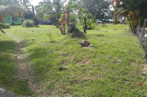 Land for sale in Pa Khlok, Phuket