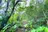 Land for sale in Pa Khlok, Phuket