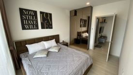 1 Bedroom Condo for rent in Life Sukhumvit 48, Phra Khanong, Bangkok near BTS Phra Khanong