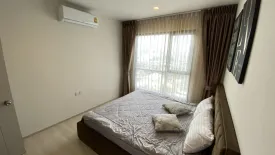 1 Bedroom Condo for rent in Life Sukhumvit 48, Phra Khanong, Bangkok near BTS Phra Khanong