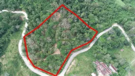 Land for sale in Choeng Thale, Phuket