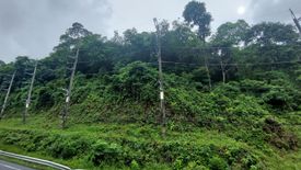 Land for sale in Kamala, Phuket