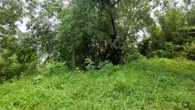 Land for sale in Kamala, Phuket