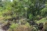 Land for sale in Ratsada, Phuket