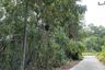 Land for sale in Ratsada, Phuket