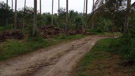 Land for sale in Pa Khlok, Phuket