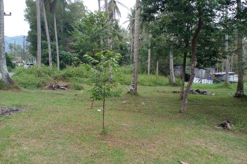 Land for sale in Pa Khlok, Phuket