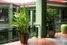 Office for rent in The Courtyard Phuket, Wichit, Phuket