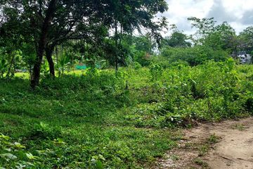 Land for sale in Chalong, Phuket