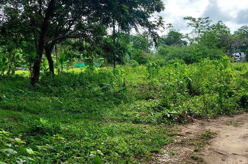 Land for sale in Chalong, Phuket