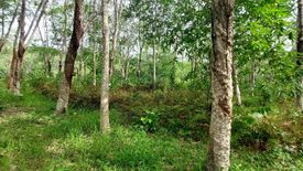 Land for sale in Chalong, Phuket