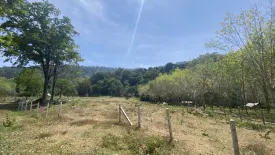 Land for sale in Pa Khlok, Phuket