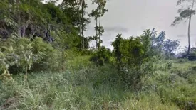 Land for sale in Thep Krasatti, Phuket