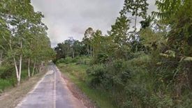 Land for sale in Thep Krasatti, Phuket