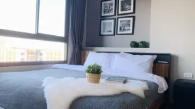 1 Bedroom Condo for rent in Ideo Sukhumvit 93, Bang Chak, Bangkok near BTS Bang Chak