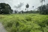 Land for sale in Mai Khao, Phuket