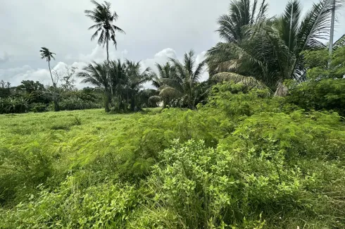 Land for sale in Mai Khao, Phuket