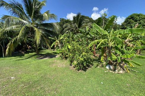 Land for sale in Chalong, Phuket