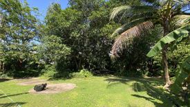 Land for sale in Chalong, Phuket
