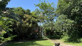 Land for sale in Chalong, Phuket