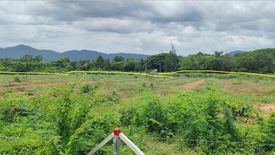 Land for sale in Thep Krasatti, Phuket