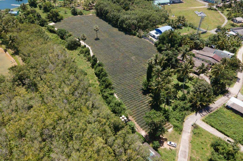 Land for sale in Pa Khlok, Phuket