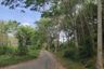Land for sale in Pa Khlok, Phuket
