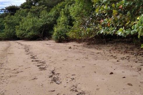 Land for sale in Pa Khlok, Phuket