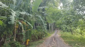 Land for sale in Pa Khlok, Phuket
