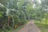 Land for sale in Pa Khlok, Phuket
