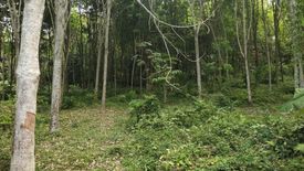 Land for sale in Pa Khlok, Phuket