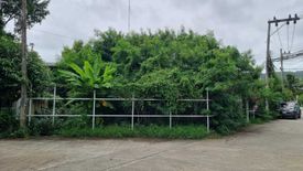 Land for sale in Chalong, Phuket