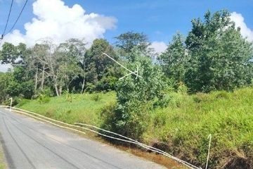 Land for sale in Sakhu, Phuket
