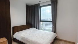 2 Bedroom Condo for rent in Ideo Mobi Sukhumvit 81, Bang Chak, Bangkok near BTS On Nut