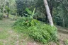 Land for sale in Patong, Phuket