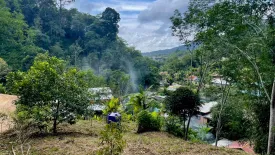 Land for sale in Patong, Phuket