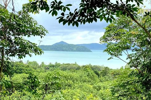 Land for sale in Pa Khlok, Phuket