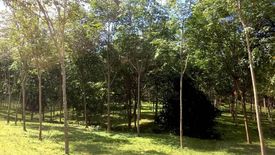 Land for sale in Pa Khlok, Phuket