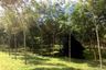 Land for sale in Pa Khlok, Phuket