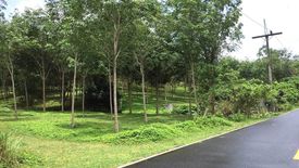 Land for sale in Pa Khlok, Phuket