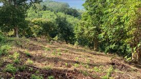 Land for sale in Pa Khlok, Phuket