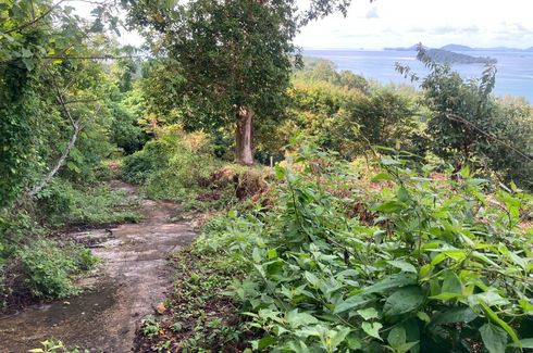 Land for sale in Pa Khlok, Phuket