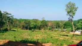 Land for sale in Mai Khao, Phuket