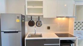 1 Bedroom Condo for rent in The Tree Sukhumvit 71 - Ekamai, Suan Luang, Bangkok near Airport Rail Link Ramkhamhaeng