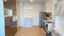 1 Bedroom Condo for rent in The Tree Sukhumvit 71 - Ekamai, Suan Luang, Bangkok near Airport Rail Link Ramkhamhaeng