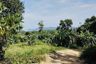 Land for sale in Thep Krasatti, Phuket