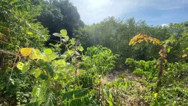 Land for sale in Chalong, Phuket