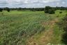 Land for sale in Khok Salung, Lopburi
