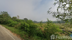 Land for sale in Chiang Klom, Loei