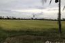 Land for sale in Pho Ngam, Chainat